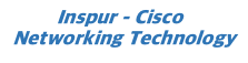 `Inspur – Cisco Networking Technology blue logo`