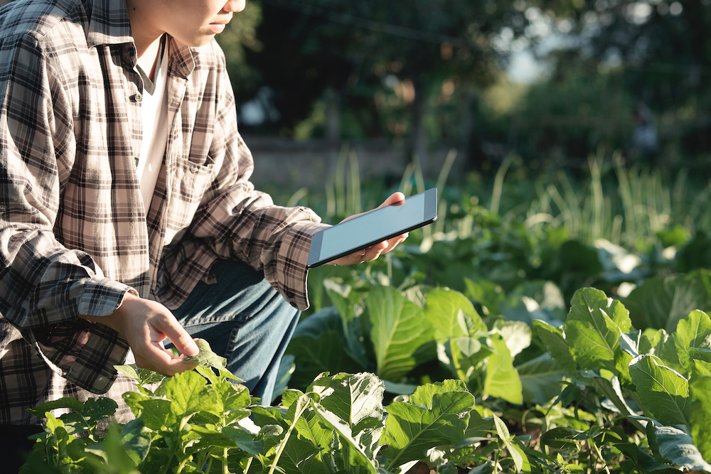 Driving the digital transformation of AgTech, an interview with Prospera CEO Daniel Koppel