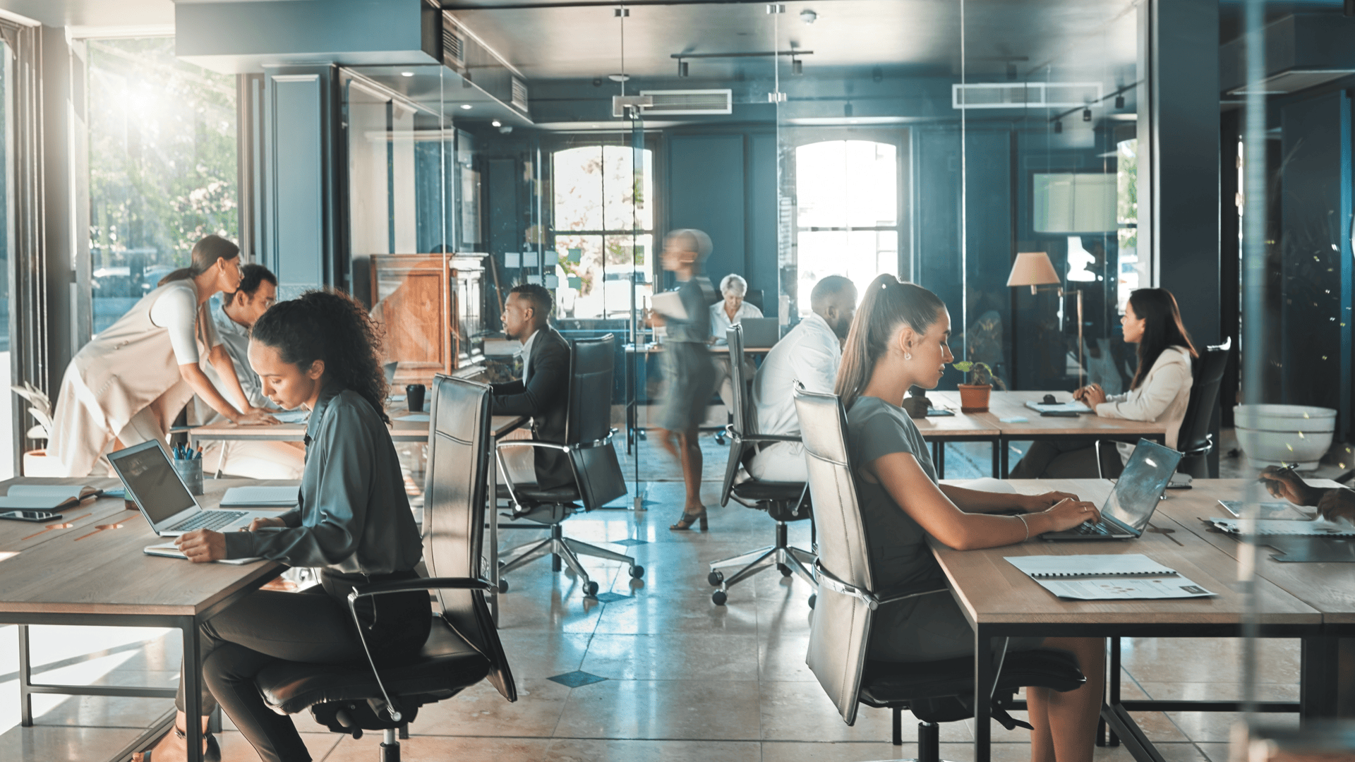 fleak-banner-office-workers