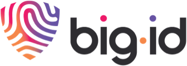BigID logo