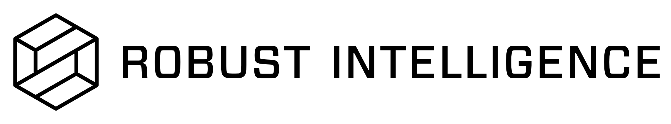 Robust Intelligence logo
