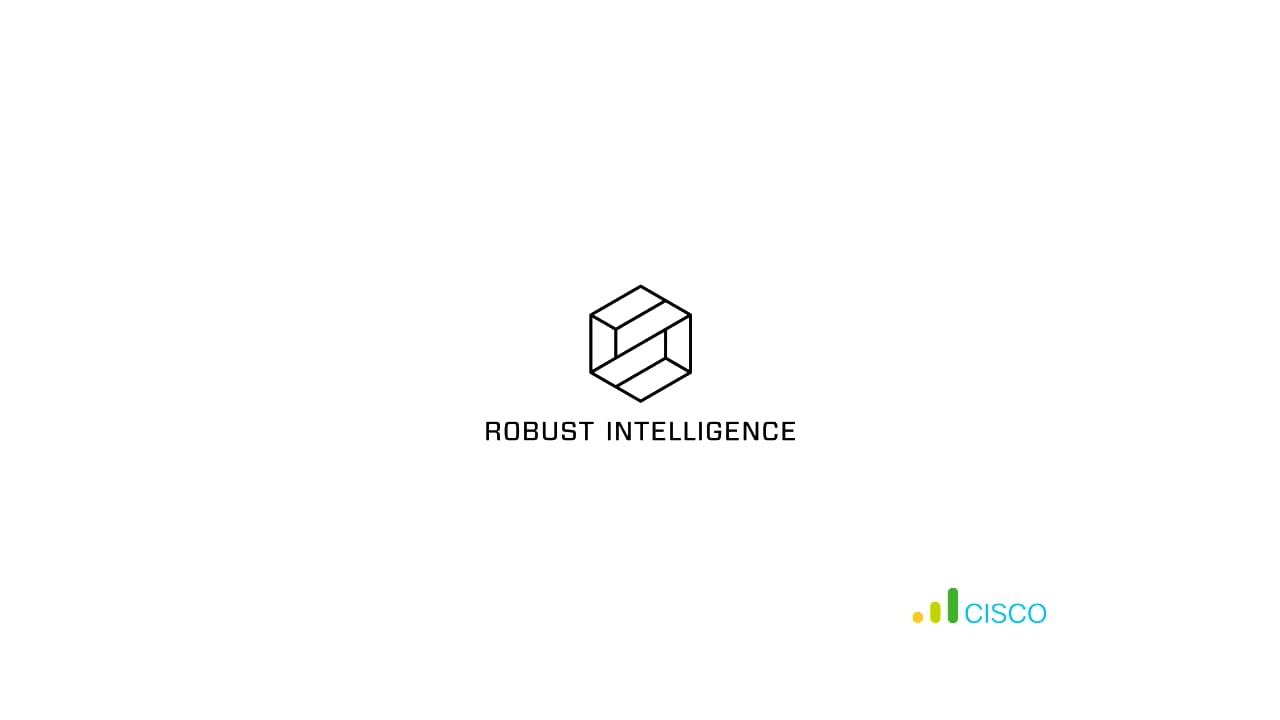 Robust Intelligence